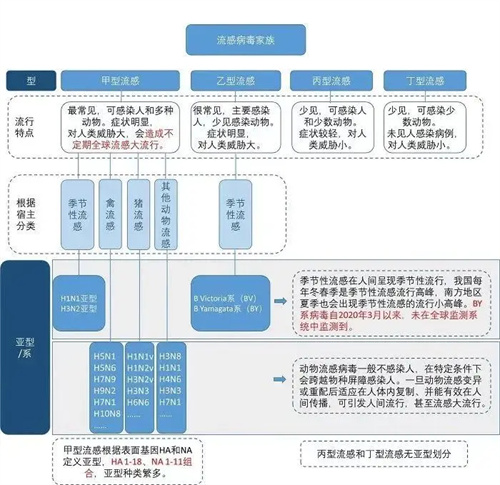 图片细节